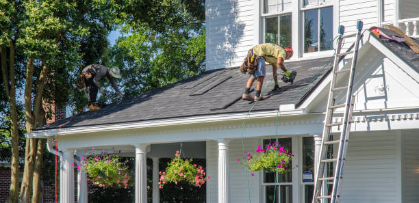 Best Roof Moss and Algae Removal  in Mechanicstown, NY